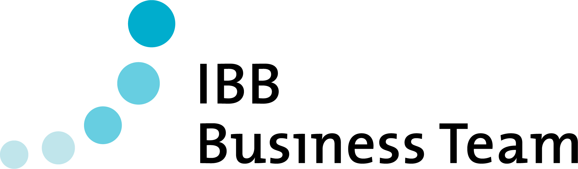 IBB Business Team GmbH